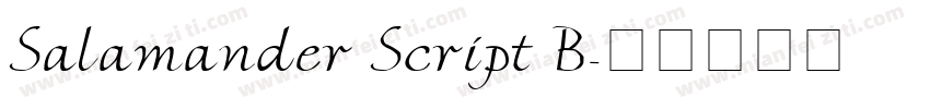 Salamander Script B字体转换